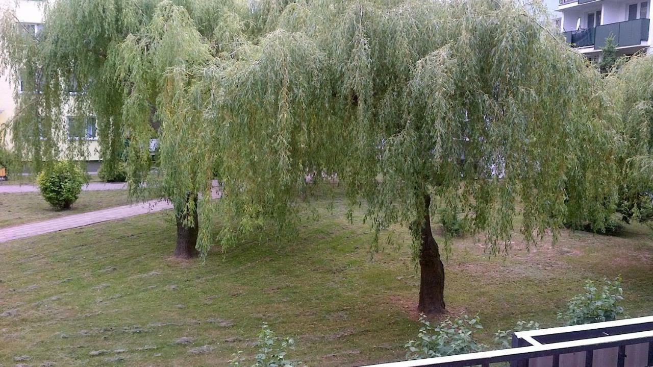Zielona Herbowa Lublin Dış mekan fotoğraf